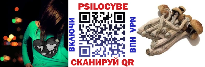 где найти наркотики  Нижнеудинск  Псилоцибиновые грибы мицелий 