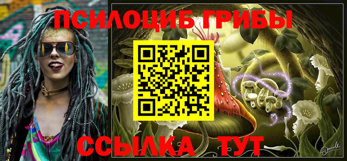 Псилоцибиновые грибы Cubensis  Галлюциногенные грибы GOLDEN TEACHER  Нижнеудинск 